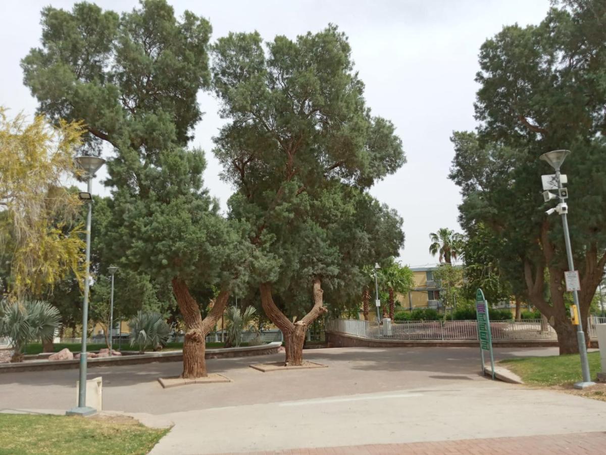 Ofir, Nice Small Unit, 123埃拉特 外观 照片